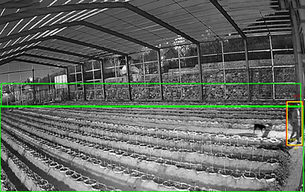 農(nóng)村養(yǎng)殖大棚AI視頻監(jiān)控安裝項(xiàng)目