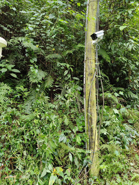 成都萬全電子|萬全電子|成都高溫橙色預(yù)警|戶外監(jiān)控?cái)z像頭安裝