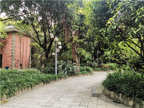 地下停車場(chǎng)、大型倉庫，如何解決大場(chǎng)景下的監(jiān)控需求