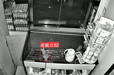 AI智能監(jiān)控算法推出新算法，老鼠再也無處可逃