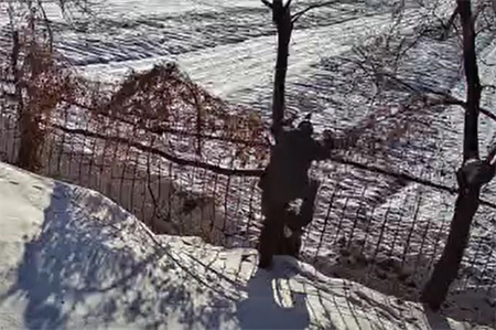 養(yǎng)老院監(jiān)控系統(tǒng)|AI視頻監(jiān)控|AI監(jiān)控報(bào)警系統(tǒng)|防翻越監(jiān)控報(bào)警