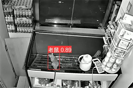 AI視頻監(jiān)控能拍到老鼠？老鼠監(jiān)控算法說可以