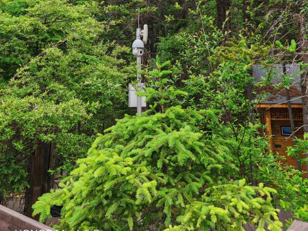 夏季來臨，AI視頻監(jiān)控新防下水算法解決管理難題