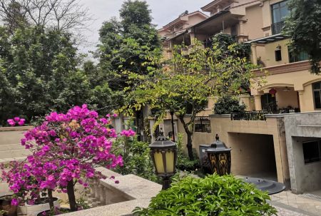 小區(qū)屢被“光顧”，居家安全小區(qū)安防請多加重視