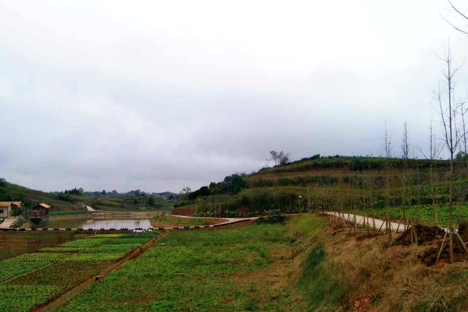 智慧農(nóng)業(yè)